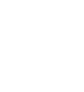 Logo partnera: NETFAN